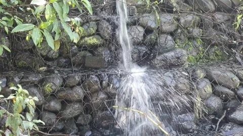 View of waterfall, rocks and leaves Stock Footage 313405302