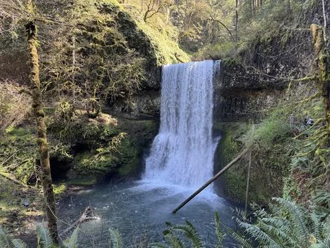 View of a waterfall in Silver Falls State Park Stock Photos