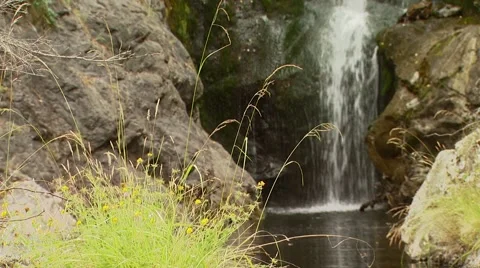View of waterfall in in Spey creek ranch Stock Footage 55337649