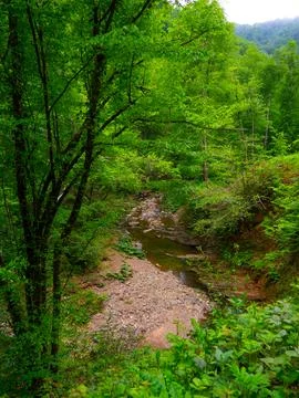 View of waterfall in spring Stock Photos