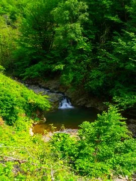 View of waterfall in spring Stock Photos