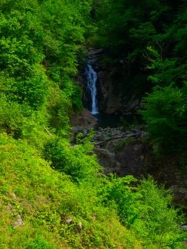 View of waterfall in spring Stock Photos
