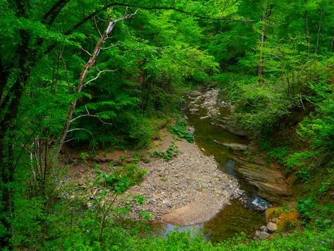 View of the waterfall in spring Stock Photos