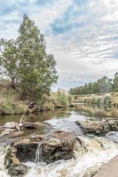 View of a waterfall stream in nature. Stock Photos