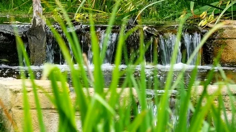 View of the waterfall through the grass Video stock 103041278