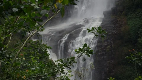 View Of The Waterfall Through The Green Branches - Handheld Shot Stock Footage 100976245
