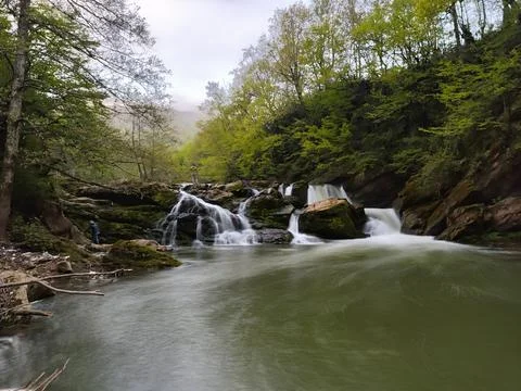 The view of the waterfallin spring Stock Photos