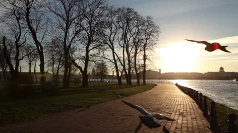 View of the waterfront at sunset, HD Stock Footage 43659737