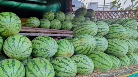 View of watermelons loaded on pushcart for roadside sale in a rural market .. Stock Footage 335879876