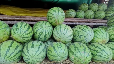 View of watermelons loaded on pushcart for roadside sale in a rural market .. Stock Footage 335879897