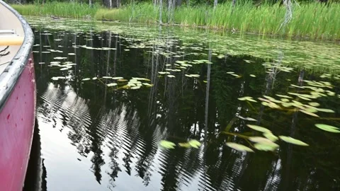 View of the water’s surface as a canoe glides along a calm river.  Stock Footage 261466439
