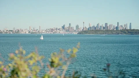 View from Watson Bay towards Sydney city skyline in Australia on a sunny day Stock Footage 287301809