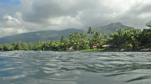 View at waves to a palm coast Stock Footage 23593960