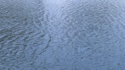 View of the waves on the surface of the river Stock Footage 148040688
