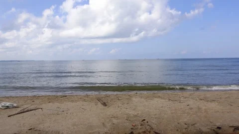The view of the waves washing over the empty beach and there are trees standing  Stock Footage 277439571