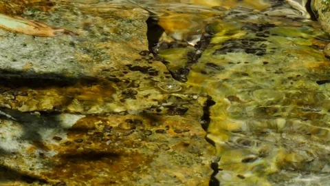 View on the waving surface of a lake on a summer day. Stock Footage 118981683