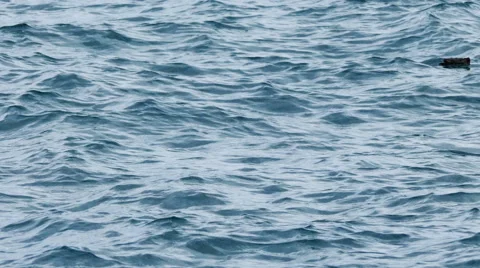 View of Wavy Water Surface Stock Footage 41688046