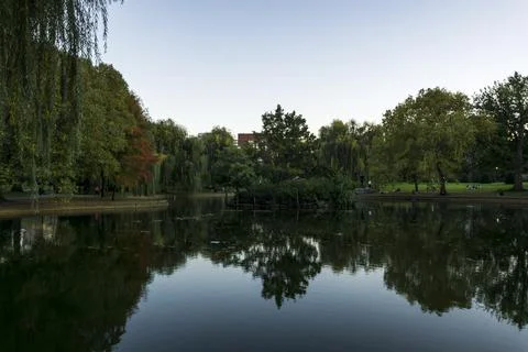View of weeping willow trees and sky on the lake in a park Stock Photos