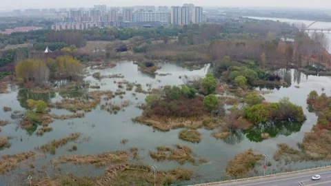 View of Weihe river, Changyi city of Shandong province Stock Footage 220046509