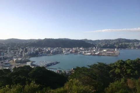 View of Wellington Stock Photos