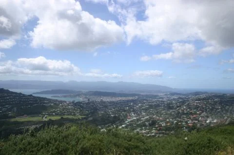 View of Wellington Stock Photos