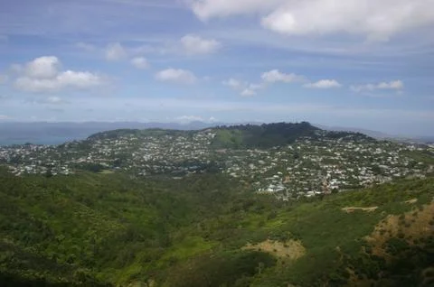 View of Wellington Stock Photos