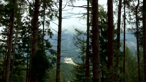 View to Werfen Castle from the forest in the west, Salzburg, Austria, Europe Stock Footage 315751375
