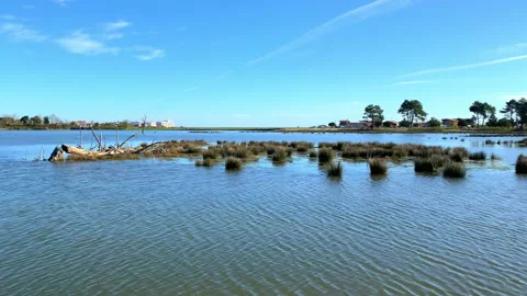 View of the west salt meadows of la Teste de Buch, France Stock Footage 176372729