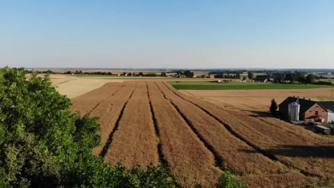 View of wheat field and barn in Polish village, coutryside, drone aerial, 4k 動画素材 247836034