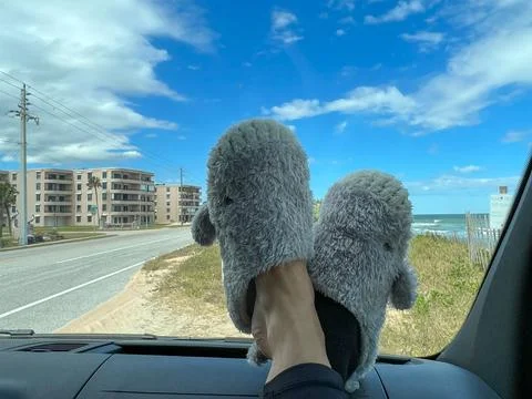 A view while parked a long side the beach during the day while on a road tr.. Stock Photos