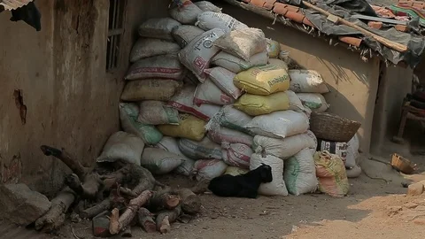 View of white bags with cargo. Poor indian village Stock Footage 80607297