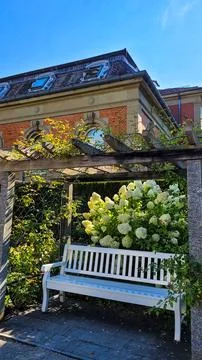 View of a white bench in charming summer garden in morning sunlight. On the Stock Photos