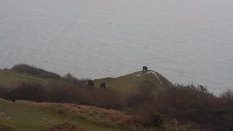 View From The White Cliffs Of Dover Video stock 265151270