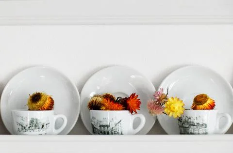 View of white cups and coasters with dried flowers on a white background Stock Photos