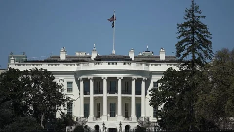 View of the White House in Washington DC During Spring Season Stock Footage 305520732
