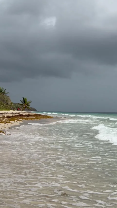 View of white ocean surf and waves rolling onto a sandy beach Stock Footage 341101778