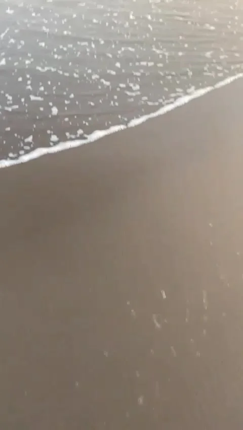 View of white sand beach with visitors playing in the water Stock Footage 308509853