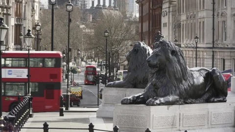 View to Whitehall from Trafalgar Square Stock Footage 150457146