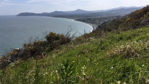 View of Wicklow Mountains and Coastline From Hilltop In Killiney, Ireland Stock Footage 89976866