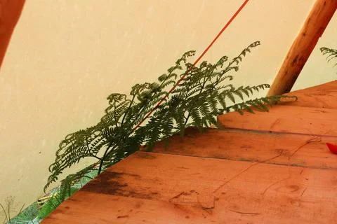 View of the wigwam structure from the inside, ethnic housing.... view of the  Stock-Fotos