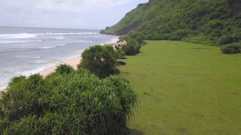 View of the wild beach of Bali Stock Footage 147487491