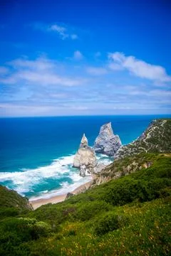 View of the wild beach Stock Photos