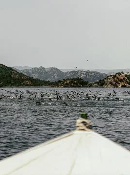 View of wild lake Stock Photos