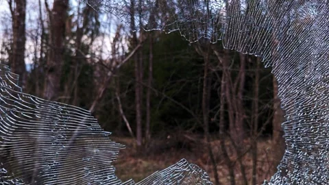 View of Wilderness through Shattered Glass of an Abandoned Van 4K Stock Footage 335098855