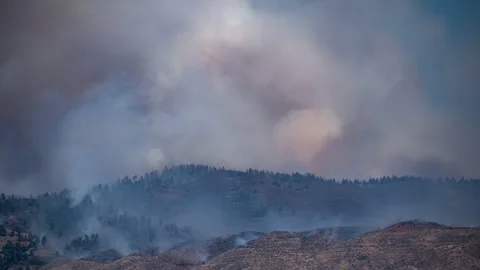 View of wildfire burning on a hillside, United States. Video stock 344409744