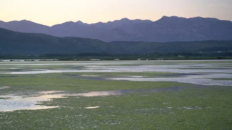 View of the wildlife in the sunset Stock Footage 63449861