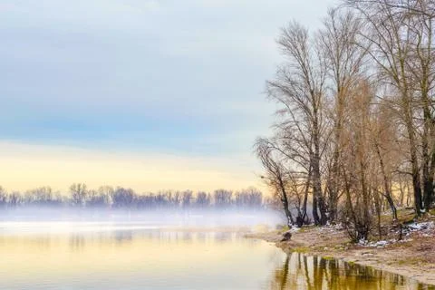 View of willow trees and poplars close to the Dnieper River in Kiev Stockfoto's