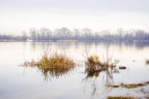 View of willow trees and poplars close to the Dnieper River in Kiev 写真素材