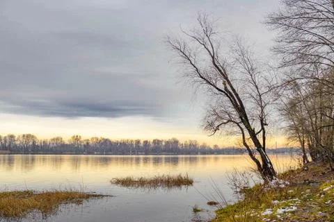View of willow trees and poplars close to the Dnieper River in Kiev Фото