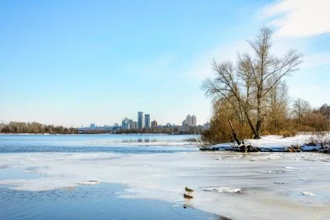 View of willow trees and poplars close to the River in Kiev during winter.Bui 库存照片